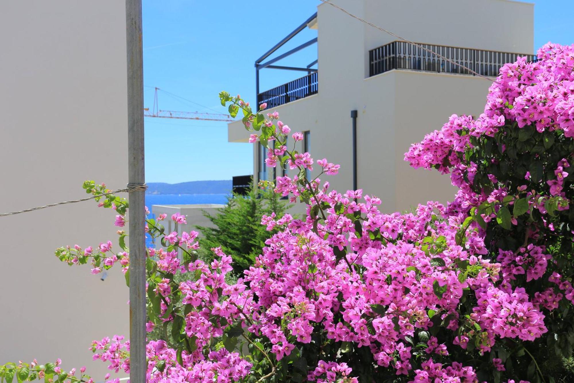 Family Friendly Apartments With A Swimming Pool Businci, Ciovo - 11232 Trogir Extérieur photo